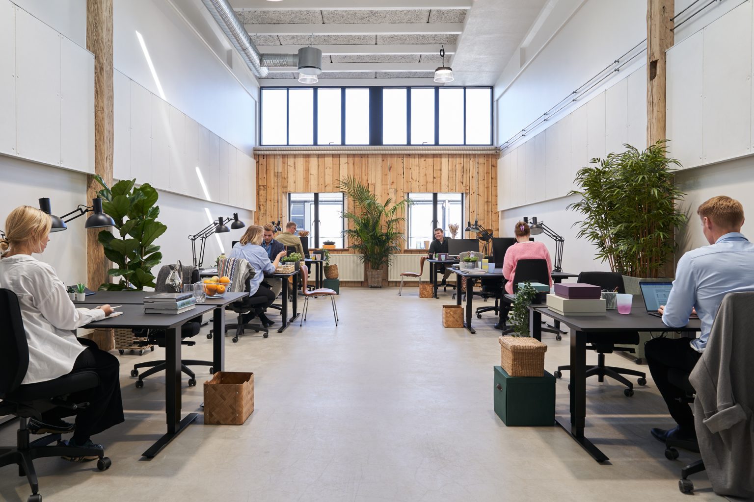 Workspace Campen